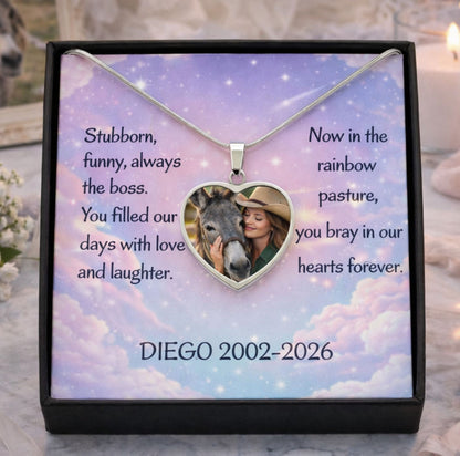 Rainbow Pasture Donkey Photo Heart Necklace