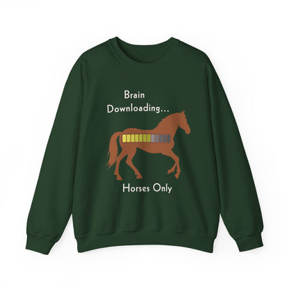 Brain Downloading Horses Sweatshirt – view 11