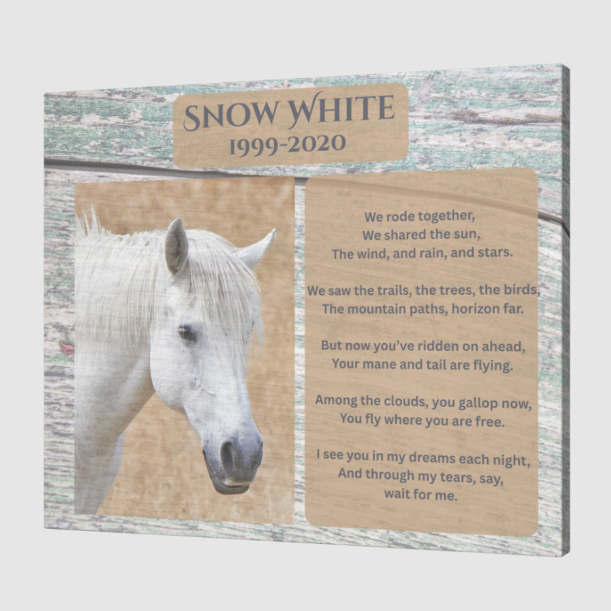 Snow White Horse Memorial Photo Canvas – view 6