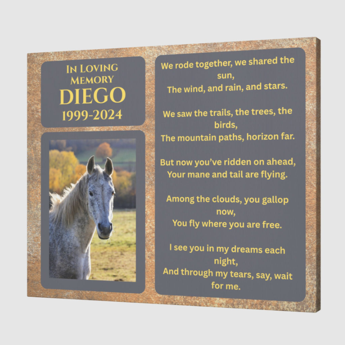 Diego Horse Memorial Photo Canvas – view 5