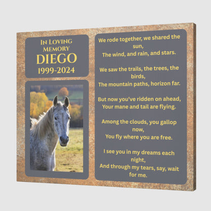 Diego Horse Memorial Photo Canvas – view 5