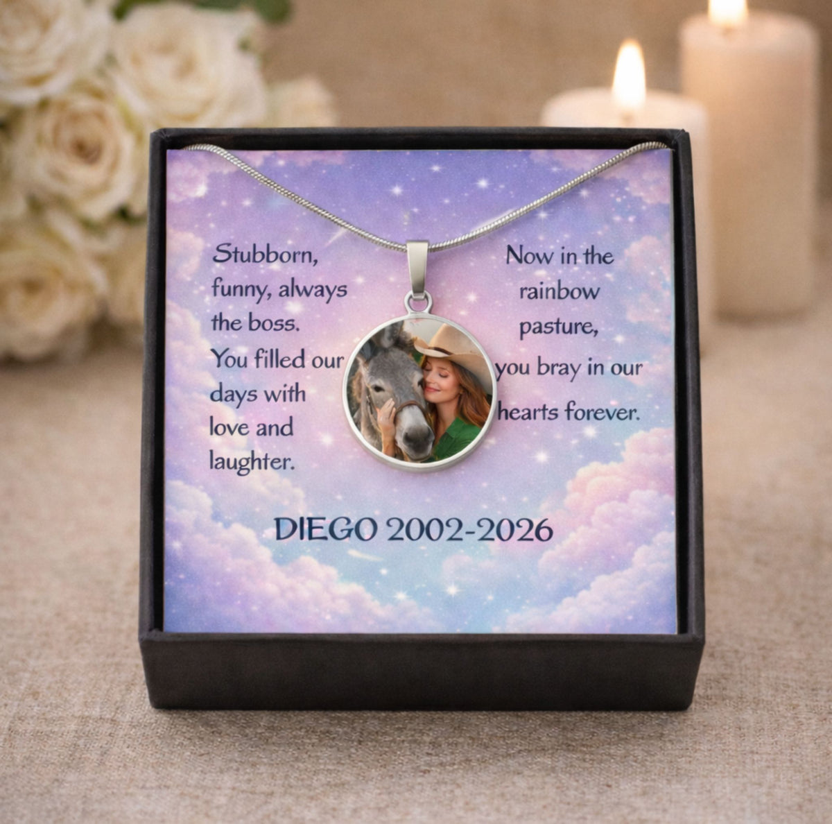 Rainbow Pasture Donkey Photo Round Necklace