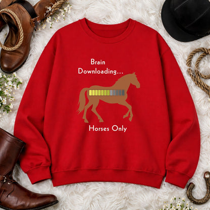 Brain Downloading Horses Sweatshirt – view 5