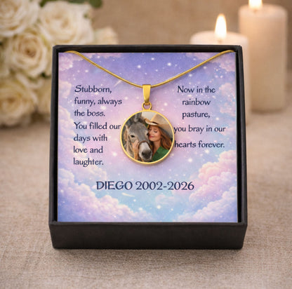 Rainbow Pasture Donkey Photo Round Necklace