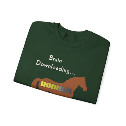 Brain Downloading Horses Sweatshirt – view 12