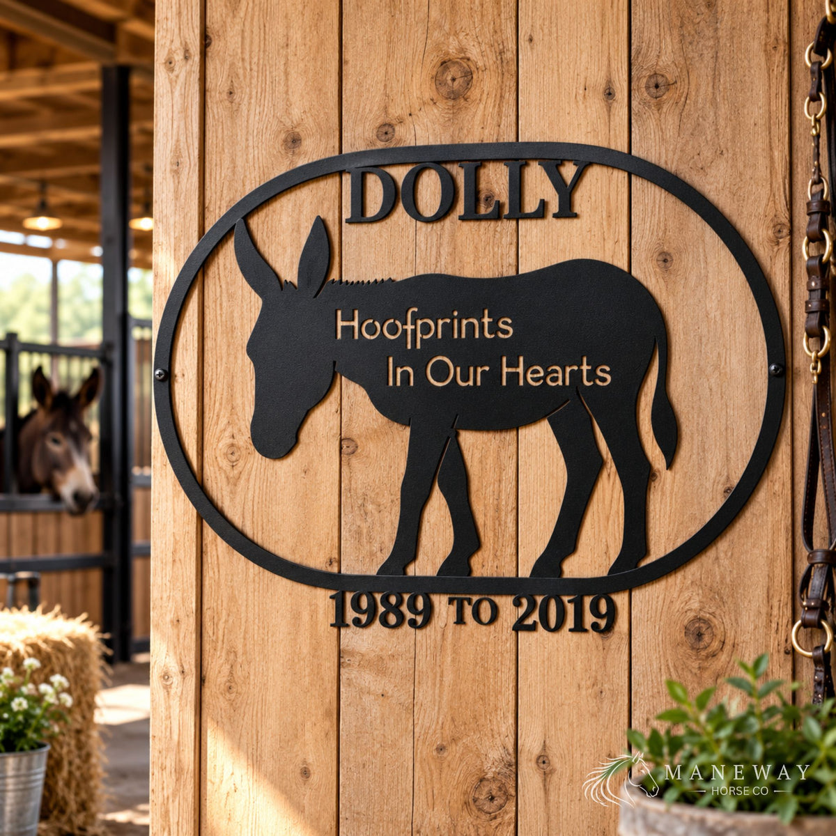 Dolly Donkey Memorial Stall Sign – view 3