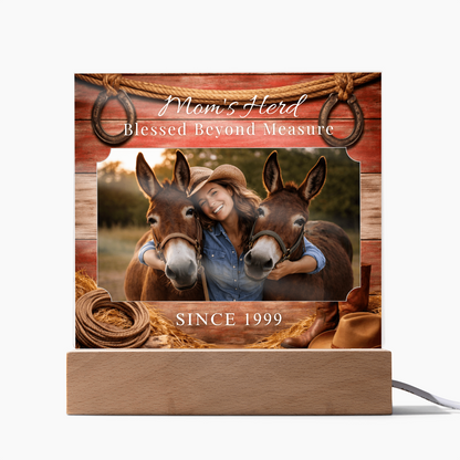 Mom's Herd Blessed Beyond Measure Photo Acrylic Plaque – Custom Gift For Mule Lovers – view 11