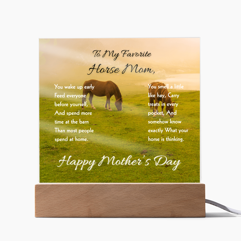Favorite Horse Mom Meadow Acrylic Plaque – view 13