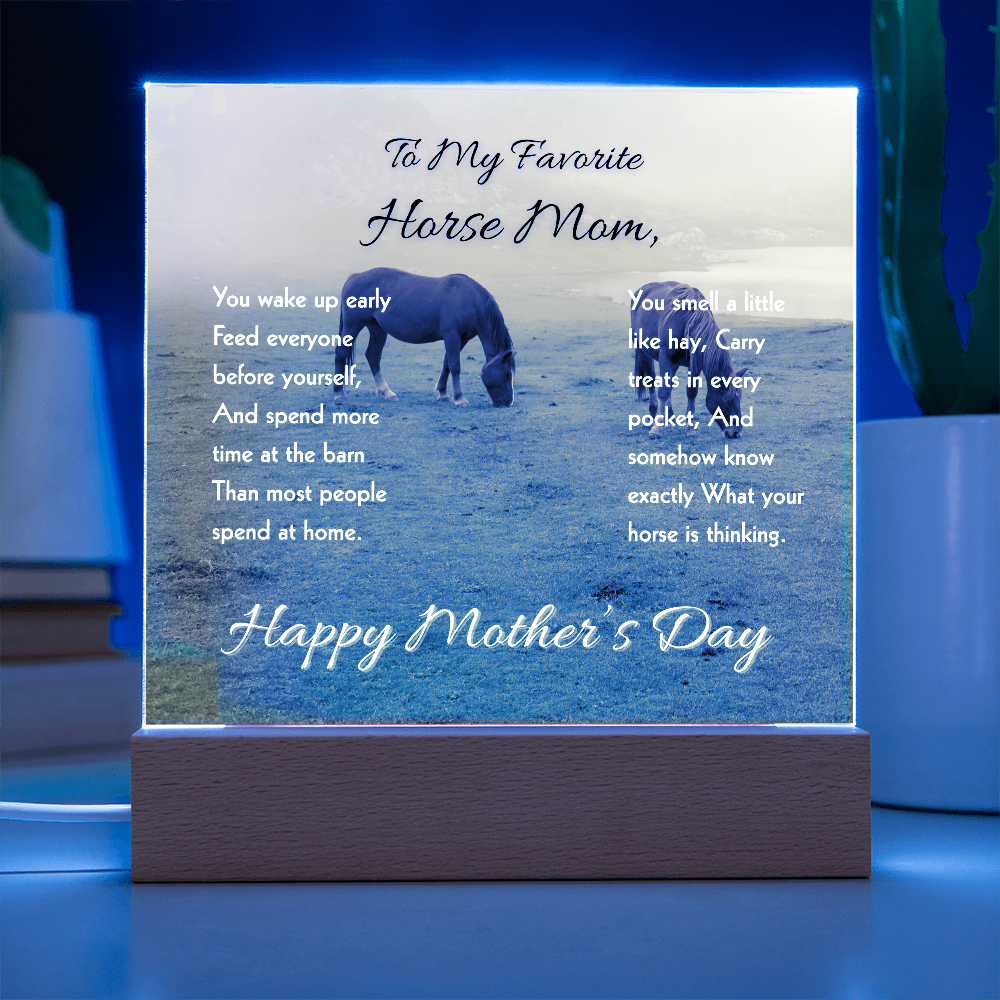 Favorite Horse Mom Meadow Acrylic Plaque – view 5