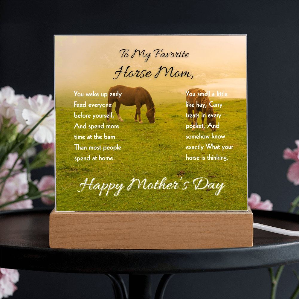 Favorite Horse Mom Meadow Acrylic Plaque – view 4