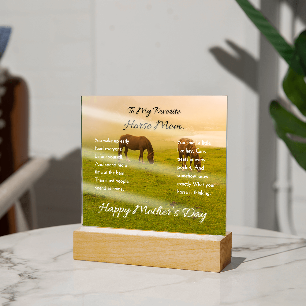 Favorite Horse Mom Meadow Acrylic Plaque – view 10
