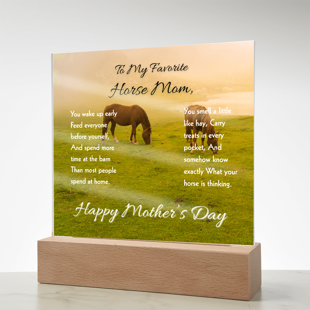 Favorite Horse Mom Meadow Acrylic Plaque – view 9