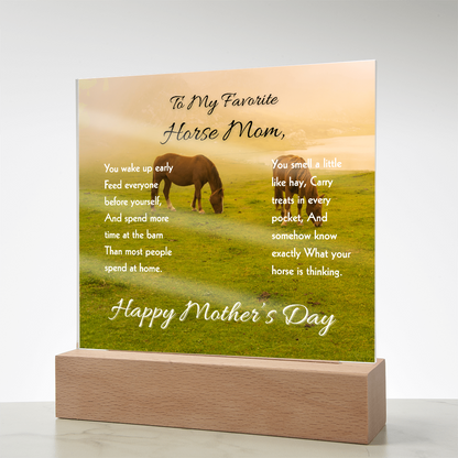 Favorite Horse Mom Meadow Acrylic Plaque – view 9