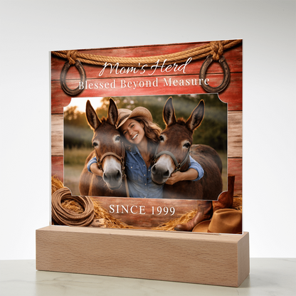 Mom's Herd Blessed Beyond Measure Photo Acrylic Plaque – Custom Gift For Mule Lovers – view 10