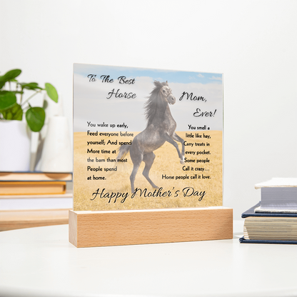 Best Horse Mom Rearing Horse Acrylic Plaque – view 9