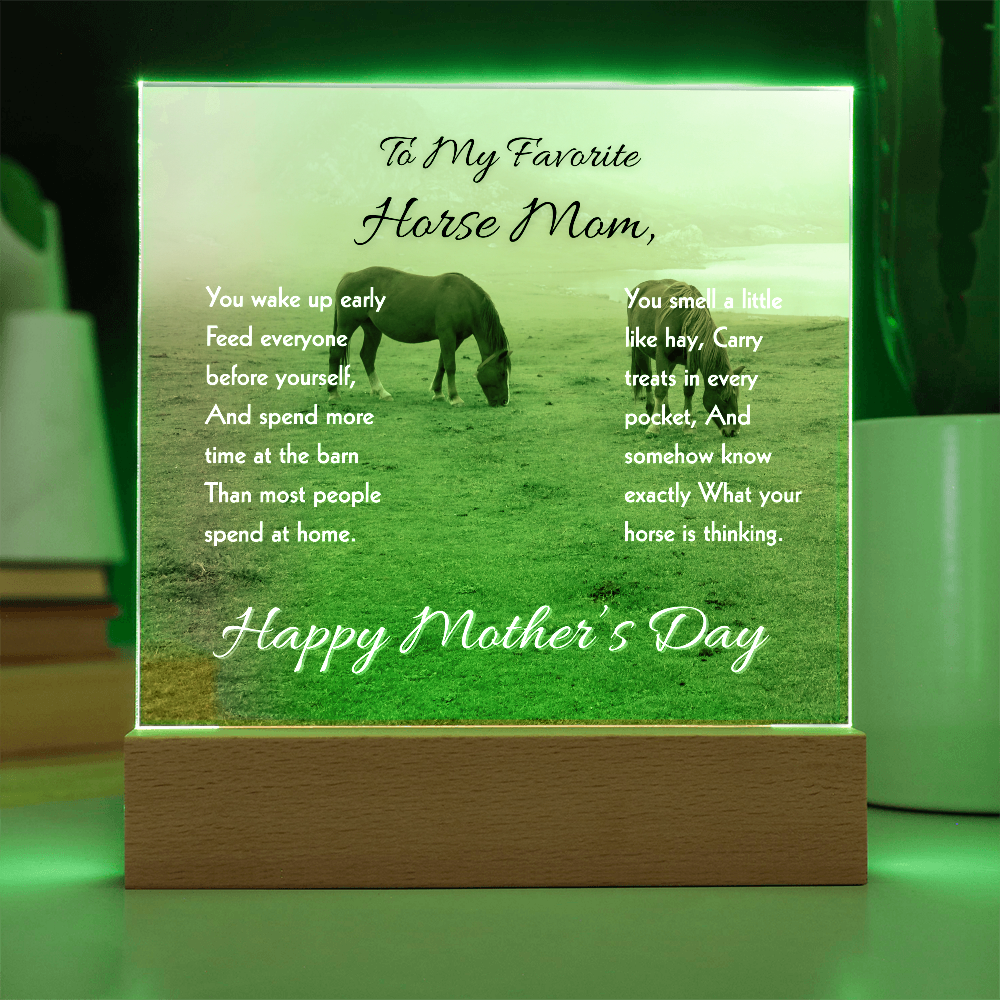 Favorite Horse Mom Meadow Acrylic Plaque – view 6