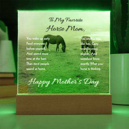 Favorite Horse Mom Meadow Acrylic Plaque – view 6