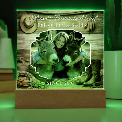 Favorite Donkey Herd Acrylic Photo Plaque